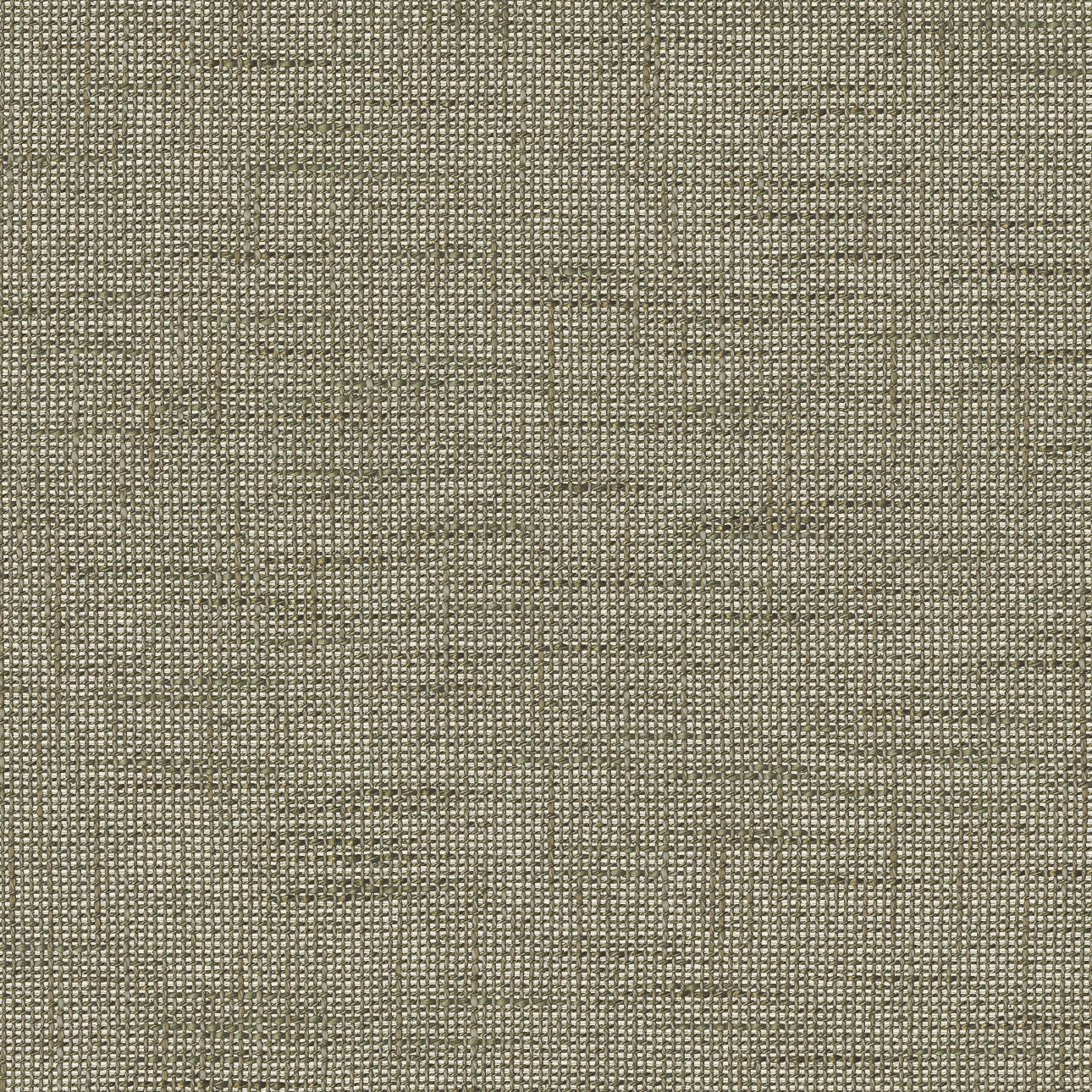Lino Terra 145-49 oliven