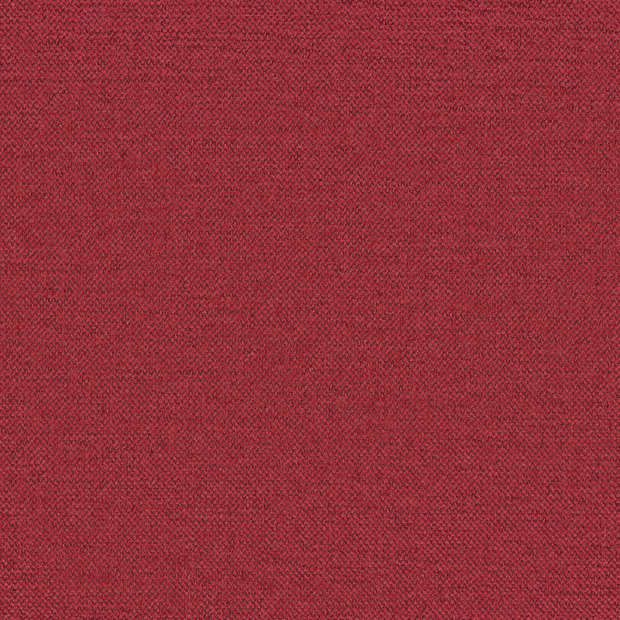 Living 162-50 fuksia