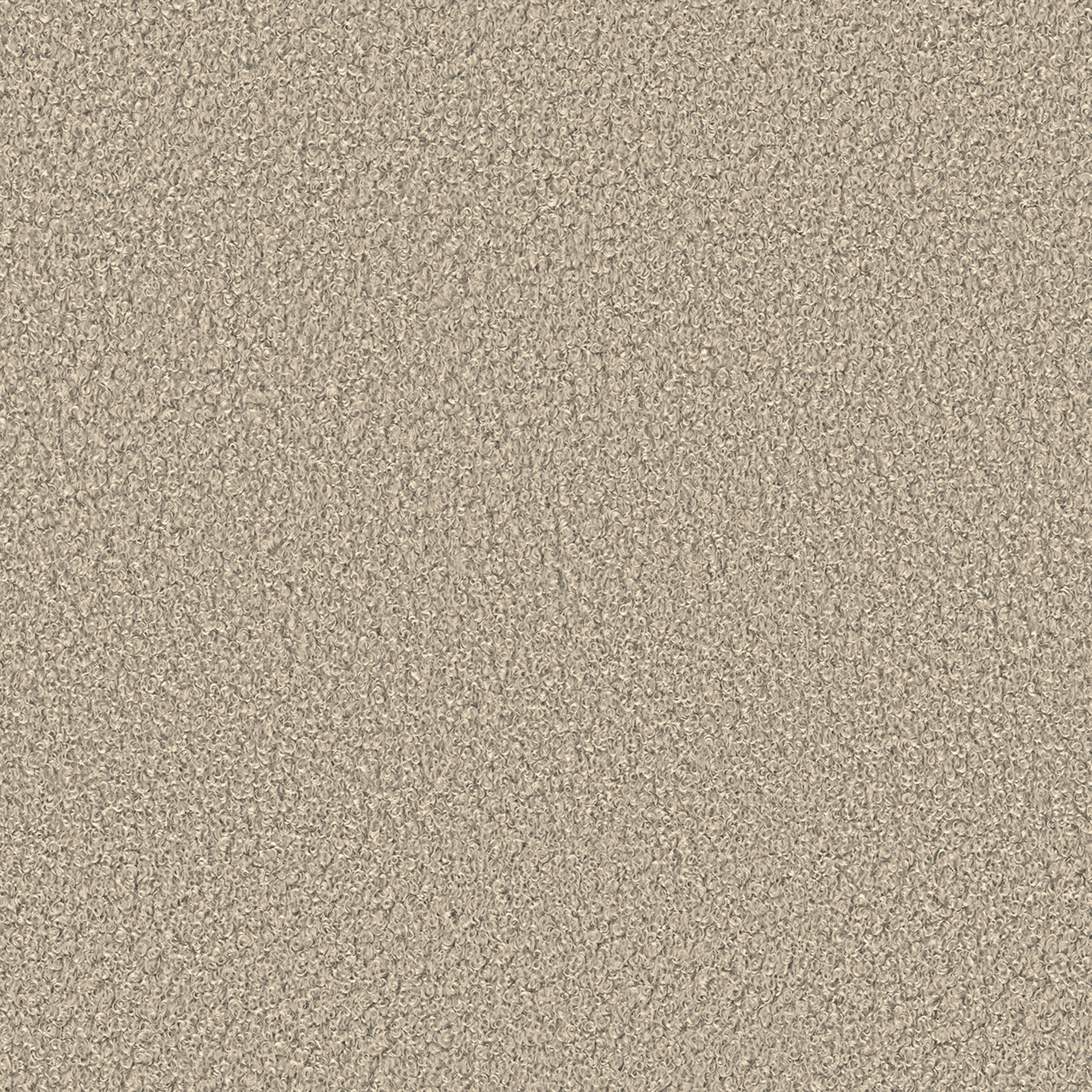 Teddy 702-81 beige